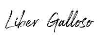 Liber Galloso